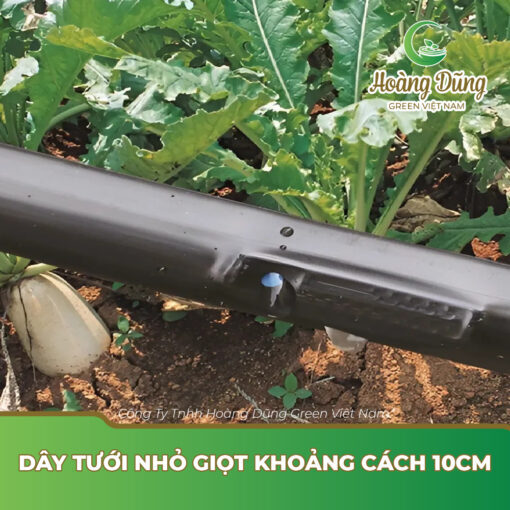 Dây tưới nhỏ giọt khoảng cách 10cm